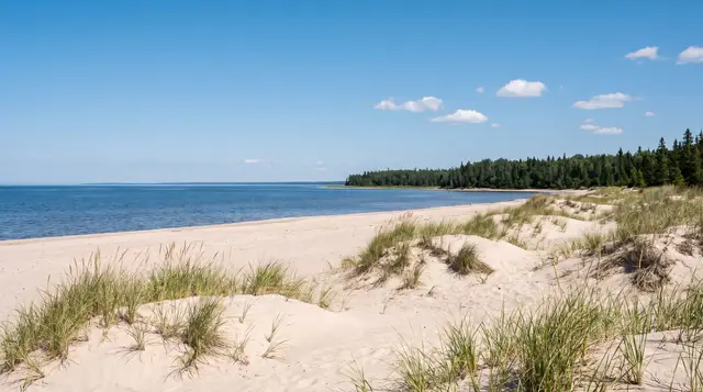 Sand, beach grass and calm blue water on a Lake Winnipeg shore in summer (illustration)